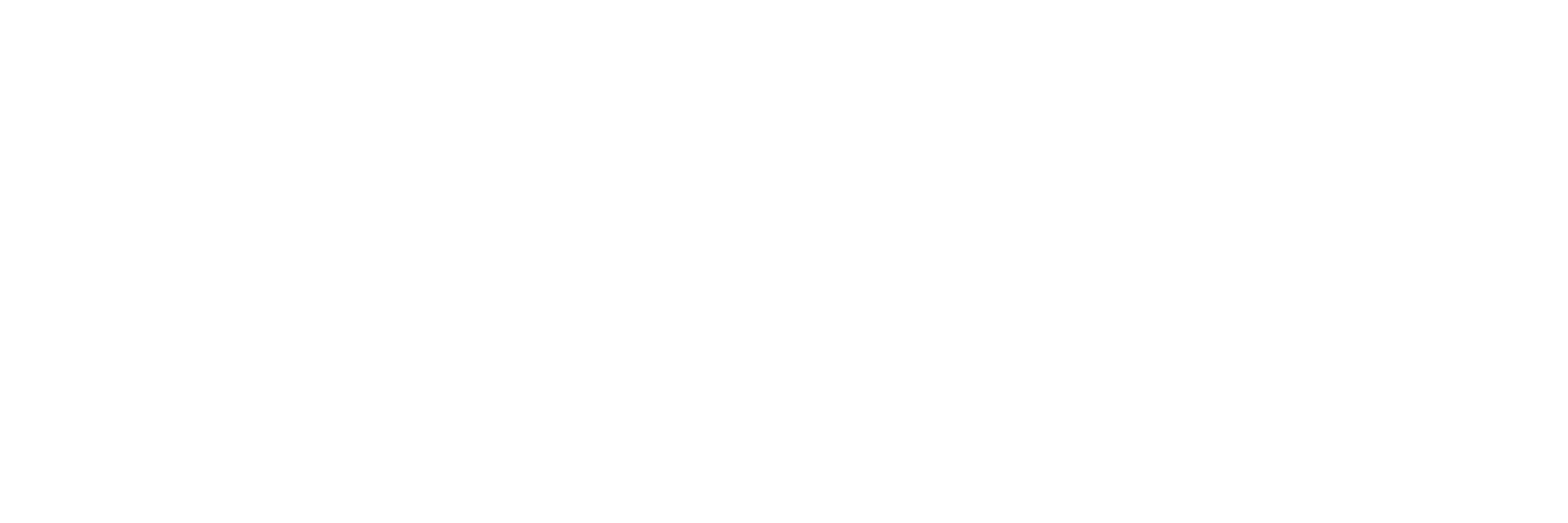 GeekBuddy